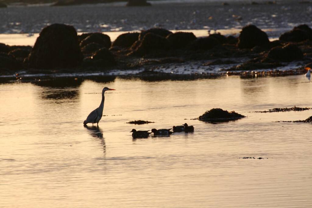 戈尔韦Curlews Rest - Gateway To The Aran Islands公寓 外观 照片